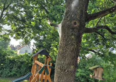 EPS Nest Im Spielbereich Von Kindern